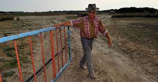 [HOMMAGE]: Ces chevaux et tous les manadiers Camargue pleurent la...